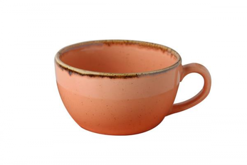 Чашка v-230 мл. чайная цвет оранжевый, Seasons, Porland