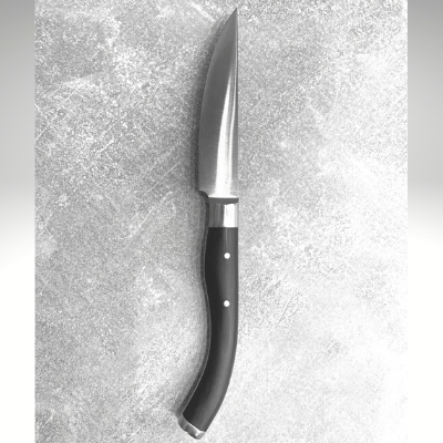 Супер нож для стейка 25 см, нержавеющая сталь, RAK Cutlery, ОАЭ