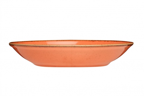 Тарелка  d-260 мм глубокая 1000 мл цвет оранжевый, Seasons, Porland